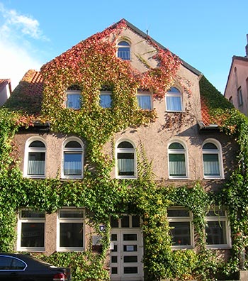 Das Genosswenschaftsbüro der Selbsthilfe Linden: Ein efeubewachsener, rosafarbener Altbau