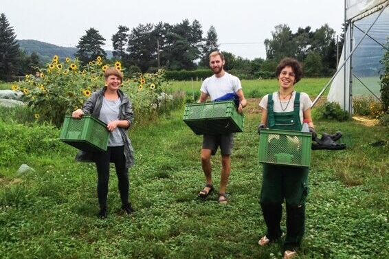 Auf diesem Foto sind drei Menschen die Gemüsekisten tragen: Sie arbeiten auf "dein Hof"