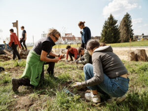 Ein Foto mit Jugendlichen der Mittelschule Lochau, die ein Areal bepflanzen. Projekt des Vereins Bodenfreiheit.